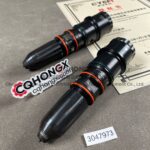 3047973 Cummins Injector cqhongx 1