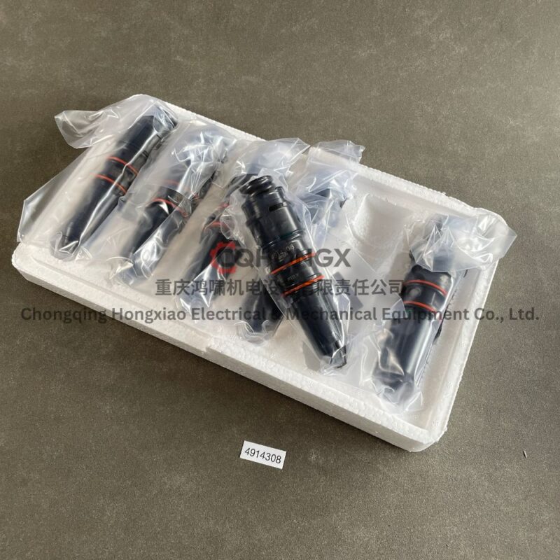 4914308 Cummins Injector cqhongx